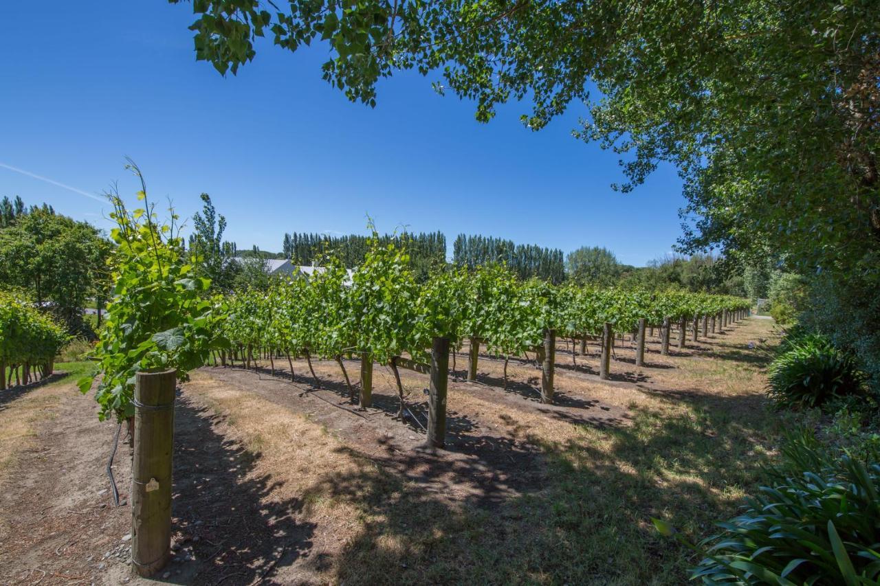 Clearwater Olive Estate Villa Christchurch Exterior photo